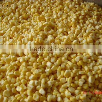 Supply China Frozen Sweet Corn wholesale corn baby corn