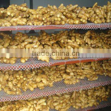 Chinese air dried ginger, market prices for fresh ginger