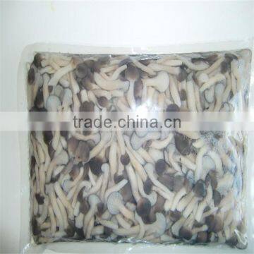 mushroom cultivation bottle bottle mushroom production canned mushroom