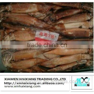 Frozen fresh argentina illex squid price