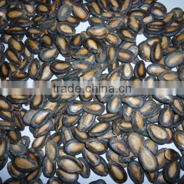 sell good quality Black Watermelon Seeds