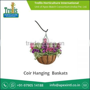 Trusted Dealer Supplying Coir Hanging Basket for Indoor/Out Door Use