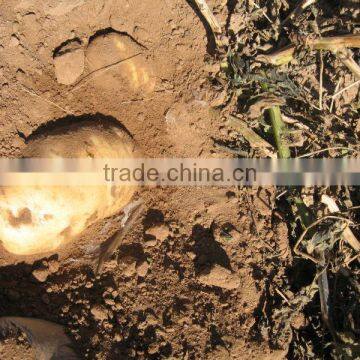 DAYU Potato Drip Tape CE&SGS Certificate photo-5