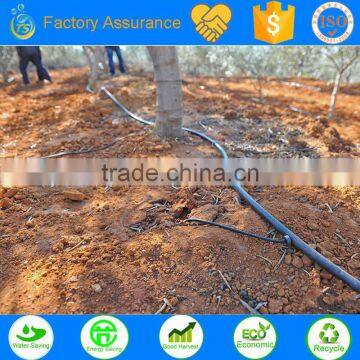 Ts irrigation company drip irrigation for trees