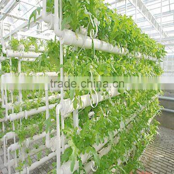 Agriculture /garden Commercial Greenhouse For Sale photo-2