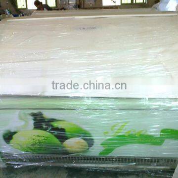 Stainless Steel Ice Cream Freezer CB-1200