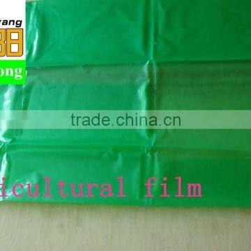 Blow Molding LDPE Plastic Perforated Green Color Tomato pe Tube Film photo-3