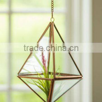 Succulent polygon Hanging Prism Terrarium