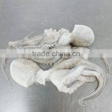 Frozen Baby Octopus in Ball Shape photo-3