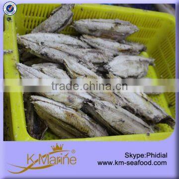 300g Raw Size Boneless Precooked Tuna photo-2