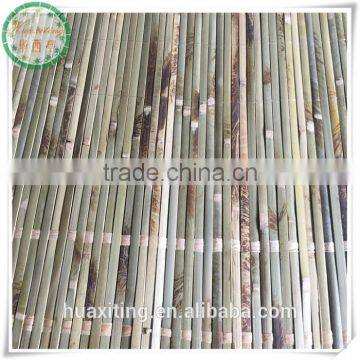 Sukkot bamboo mats in Israel 6x8ft