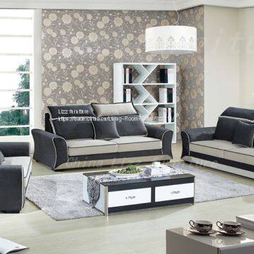 Modern Leisure Sofa & Sofa for Home