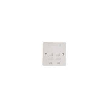 Two Port Wall Plate