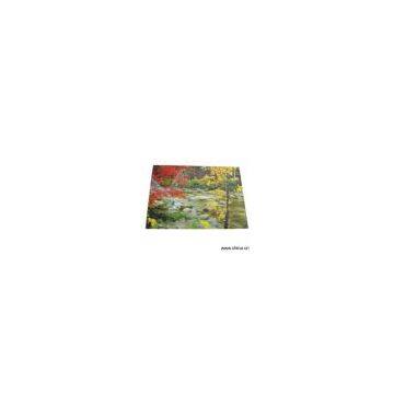 Sell 3D Decorative Picture