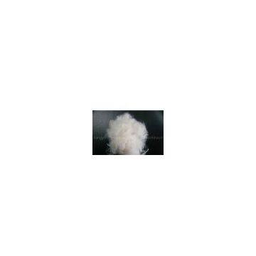 Raw White A 6D 3.8GPD Recycled Polyester Staple Fiber for Spinning