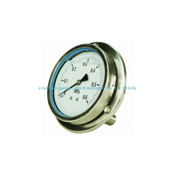 Stainless Steel Shake Resistant Pressure Gauge