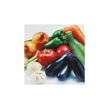 Glossy Polyester Inkjet Printing Canvas