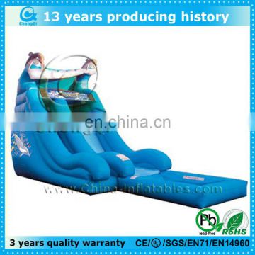 2013 inflatable sports water slides