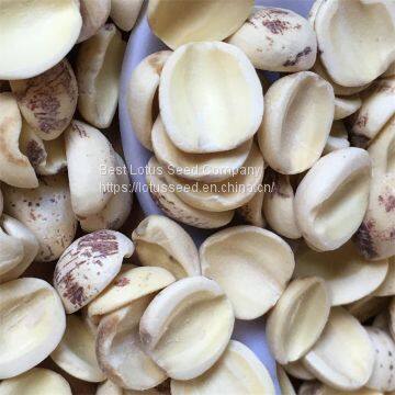 Lotus Seed Lotus Nut Lotus Kernel Dried Half White Lotus Seed Paste Health Food photo-4