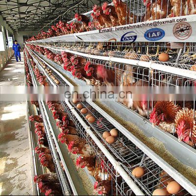 battery chicken cage, layers chicken cage for Kenya poultry farm equipment