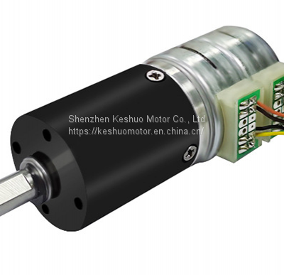 25mm Double Stacked Micro Reduction Motor 12V24V Planery Gearbox Stepper Motor With Large Torque photo-2