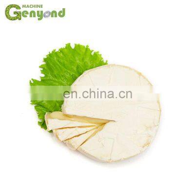 GYC-20 Small Scale Cheese Vat photo-2