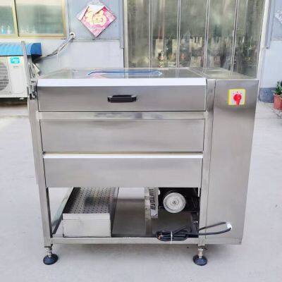 Système de lavage de fruits et légumes entièrement automatique - Machine de nettoyage à brosses rotatives