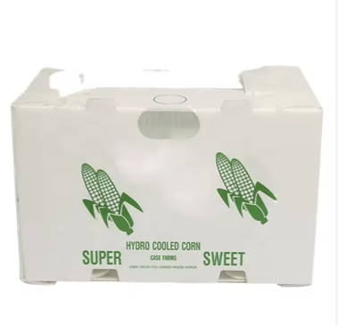 Reusable PP Hollow Packaging Box – Corrugated Plastic Crate for Fruit and Vegetable Transport photo-3