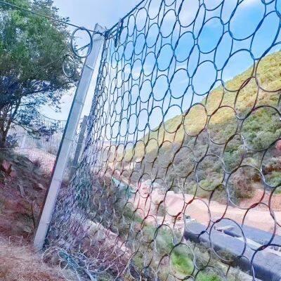 OEM R16/3/350 Ring Net Barrier Debris Flow Barriers for High-risk Mountain Slope Rockfall Prevention