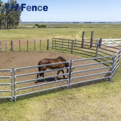 Easy-Clean Horse Panel: Non-Porous Solid Surface for Simple Disinfection and Superior Stable Hygiene Management