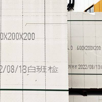 Large Character Inkjet Coder for Cement Bricks