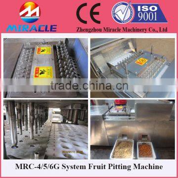 Fast Delivery Date Palm Core Seed Removing Machine From Fruit Process