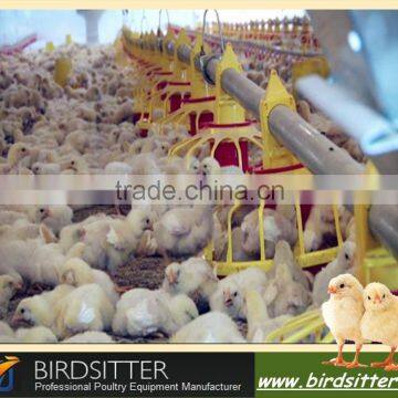 Automatic poultry farm design poultry raising equipment