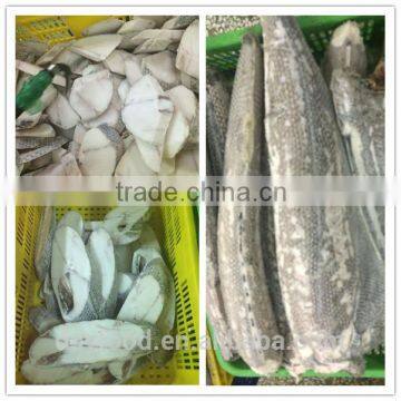 factory seafood frozen oilfish steak