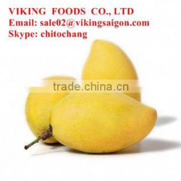 FRESH MANGO FROM VIETNAM - BEST PRICE - HIGH QUALITY