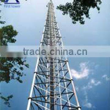 Self Supporting Lattice Tower for Microwave Signal photo-3