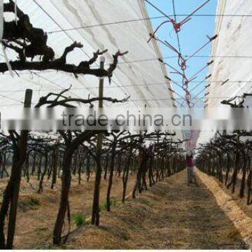 plastic covers for table grapes reinforced films