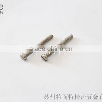 slotted screw