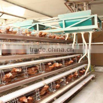 China supplier ladder type poultry cages/A type layer poultry cage