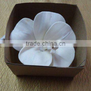 Handmade Sola flower diffuser