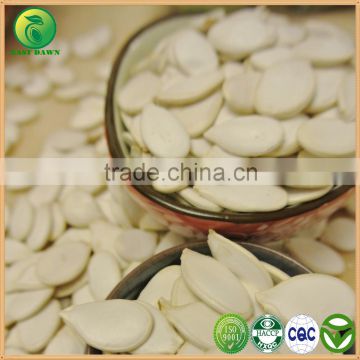 International Price for 13cm Snow White Pumpkin Seeds, Pumpkin Seeds Price