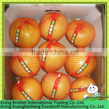 China Fujian pomelo