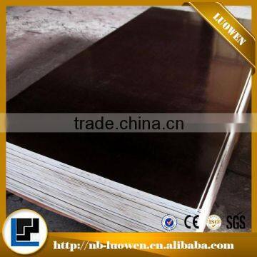 Building Construction Birch Plywood Formwork System