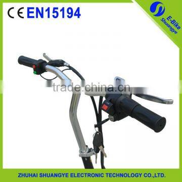 CE Battery Electric Bicycle Kit / E Bike Conversion Kit / 24V/36V/48V 250-1000W Motor
