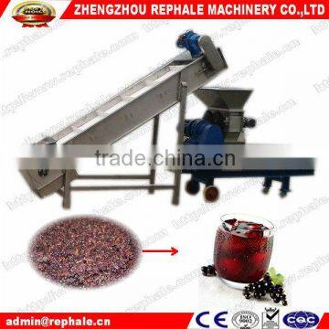 stainles steel double screw fruit juice extracting machine