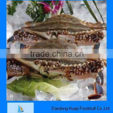 Fresh frozen high quality blue crab in new season                        
                                                Quality Choice