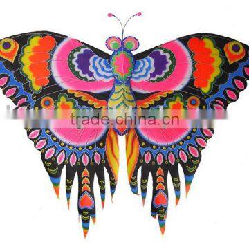 colorful traditional kite