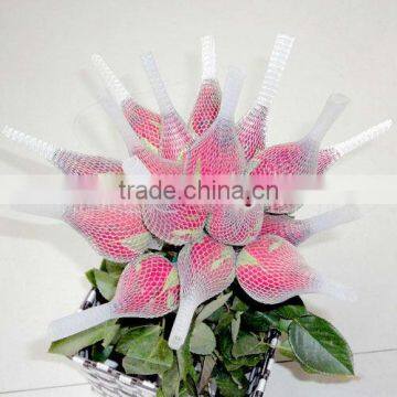 Netting for Cut Flowers photo-2