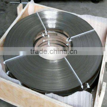 Titanium mesh ribbon
