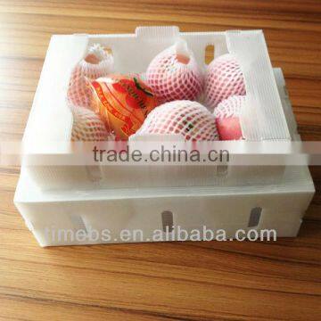 corflute pp fruit packing box